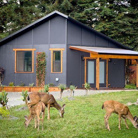 New, Modern, Country-Feel, Close To Arcata Eksteriør bilde