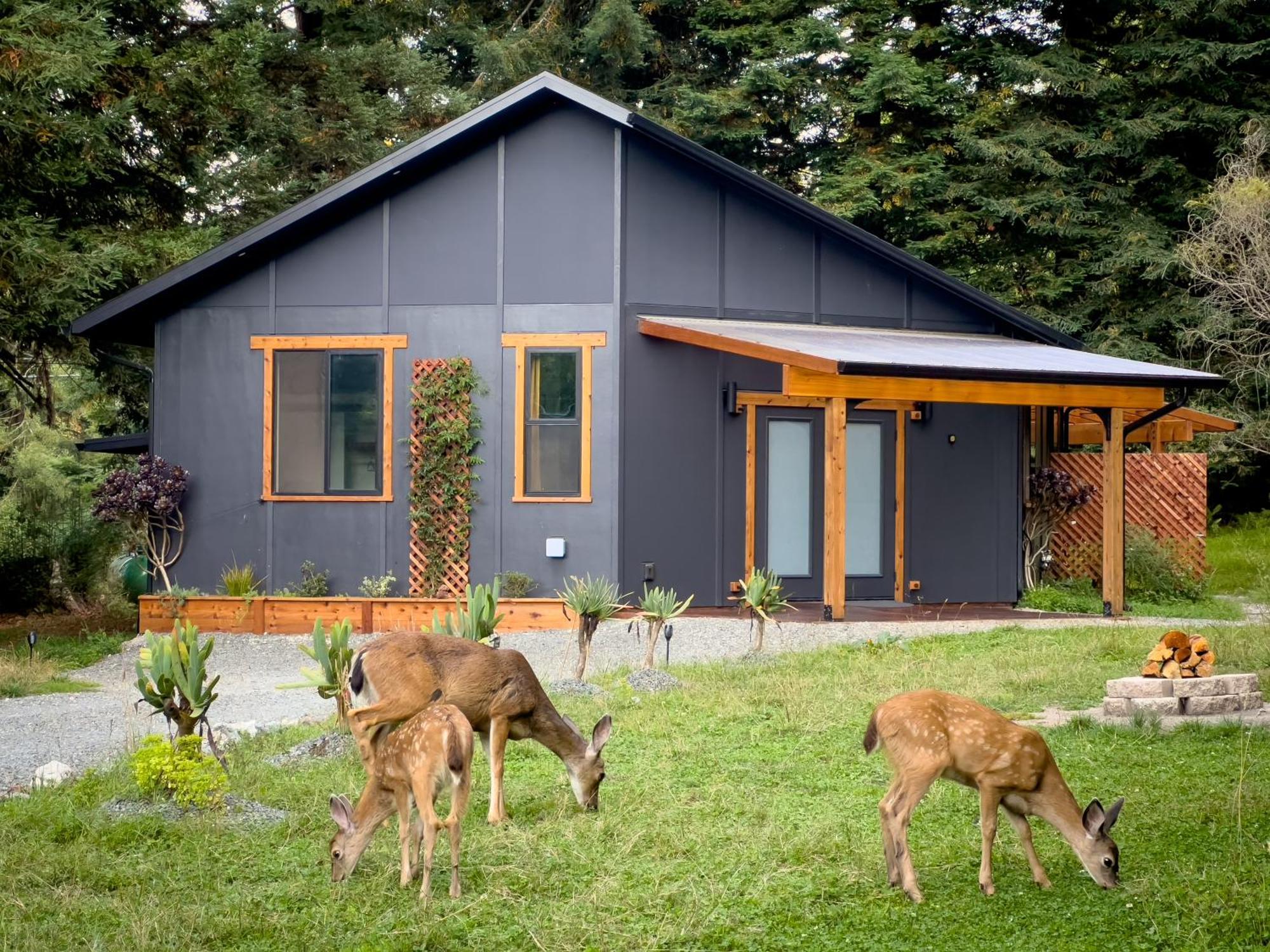 New, Modern, Country-Feel, Close To Arcata Eksteriør bilde